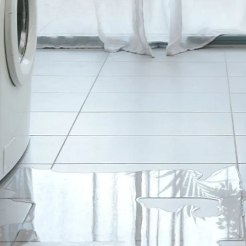 Appliance Leak Cleanup in Naples Manor, FL