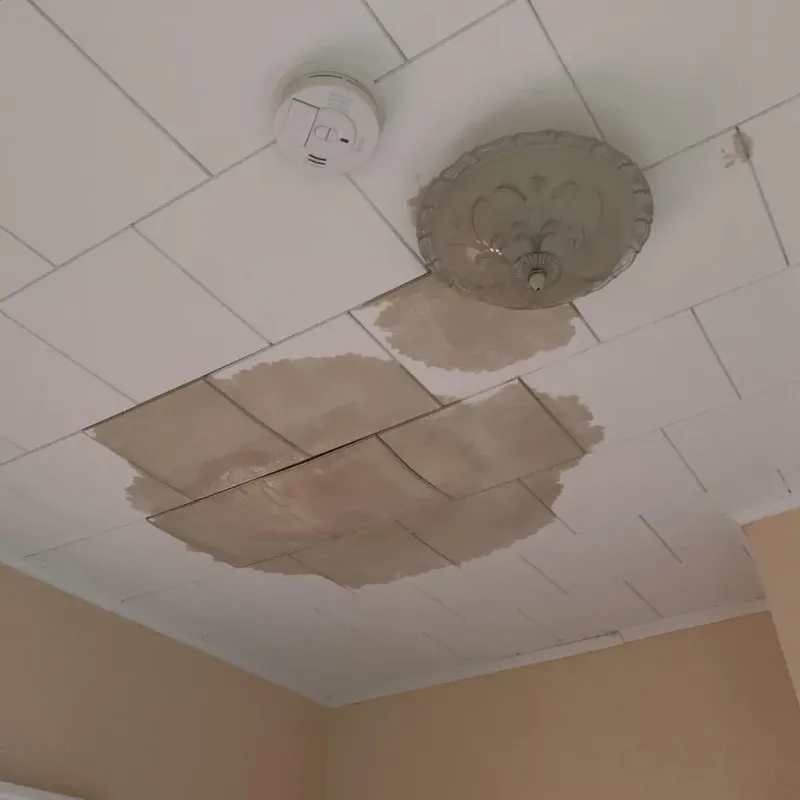 Ceiling Water Damage Repair in Naples Manor, FL