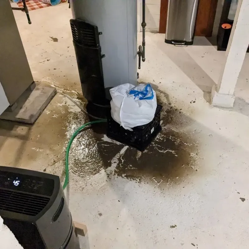 Sewage Backup Cleanup Service in Naples Manor, FL